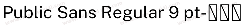 Public Sans Regular 9 pt字体转换